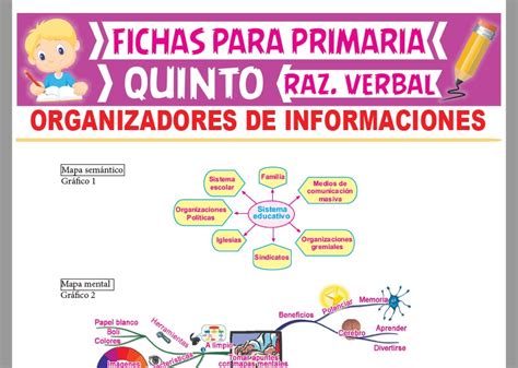 Ejemplos Organizador Grafico Para Niños De Primaria