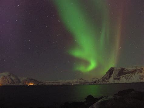 Northern Lights Tromso Chase The Northern Lights Around T Flickr