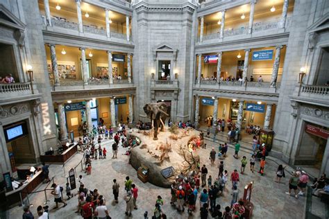 Visitar El Instituto Smithsonian De Washington