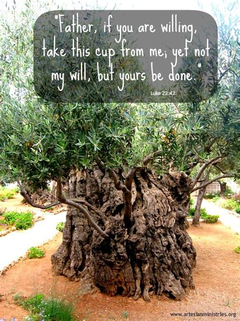 Garden Of Gethsemane Bible Verse