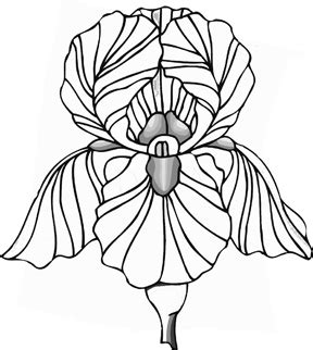 Maybe you would like to learn more about one of these? Drawings of Flowers for Beginners: When Drawing Flowers ...