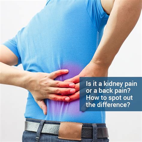 Where Is Back Pain Located For Kidney Infection