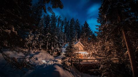 House Surrounded By Snow Covered Christmas Fir Tree In Forest During