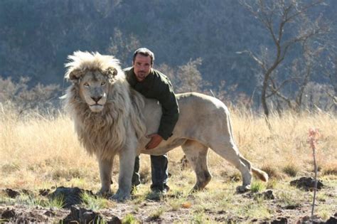 Lion Whisperer Gets Up Close And Personal With Wild Lions Mens Journal
