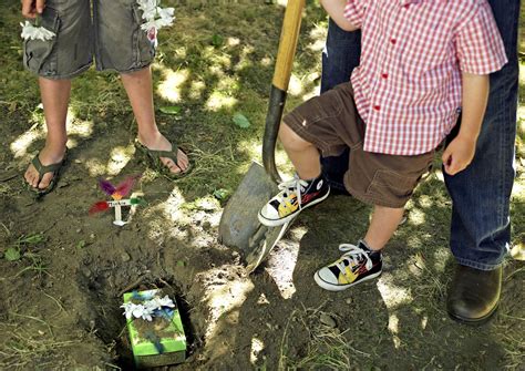 Pet Burial In Backyard Why You Shouldn T Bury Your Pet In The