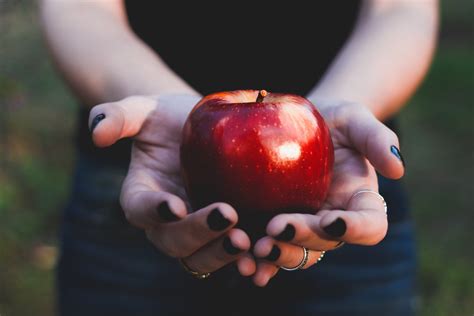App clips are a great way for users to quickly access and experience what your app has to offer. 5 Health Benefits Of Eating Apples