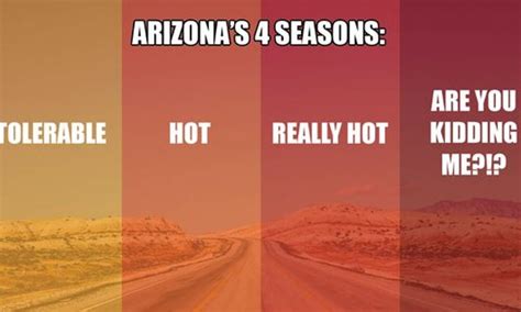 The 15 Best Meanwhile In Arizona Memes That We Can All Relate To