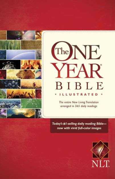 The One Year Bible Illustrated Nlt By Tyndale Ebook Barnes And Noble