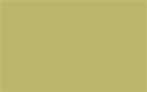 2880x1800 Dark Khaki Solid Color Background