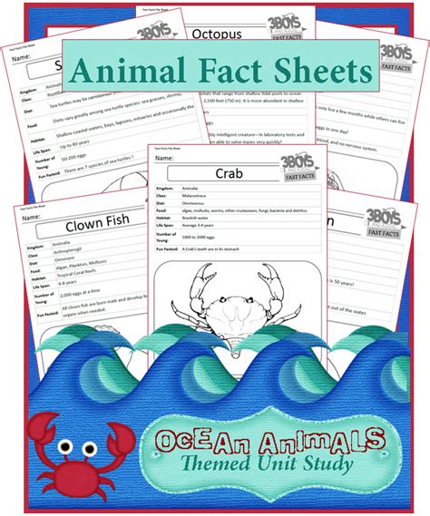 Facts About Ocean Animals Unit Study Series Study Unit Ocean