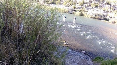 Texas Hole San Juan River Poor Trout Foul Hooking Youtube