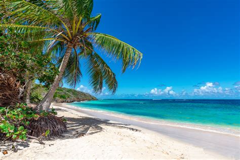 Inselhopping In Der Karibik 2 Wochen Abc Inseln Flugrundreise 685€