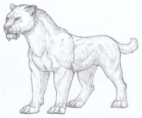 A Pencil Drawing Of A Lion Standing With Its Mouth Open