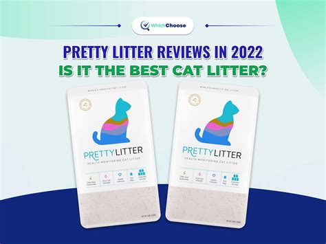 Pretty Litter Reviews 2022 Is It The Best Cat Litter Whichchoose