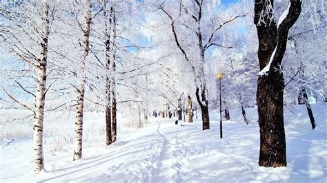 Beautiful Snow Wallpapers 46 Images