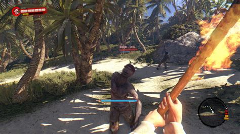 Published by deep silver and released on may 31, 2016, the dead island: Zombies Plague Paradise in DEAD ISLAND DEFINITIVE EDITION ...