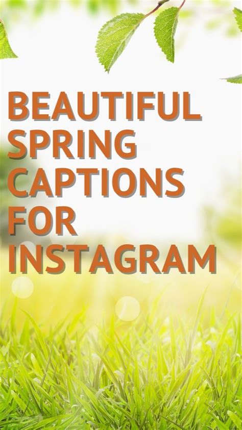 Beautiful Spring Captions For Instagram Travel Quotes Instagram