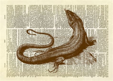 Komodo Dragon Lizard Dictionary Art Print Large Lizards Art Major