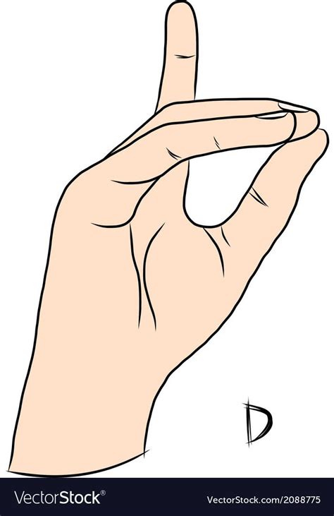 Sign Language And The Alphabetthe Letter D Vector Image On Vectorstock