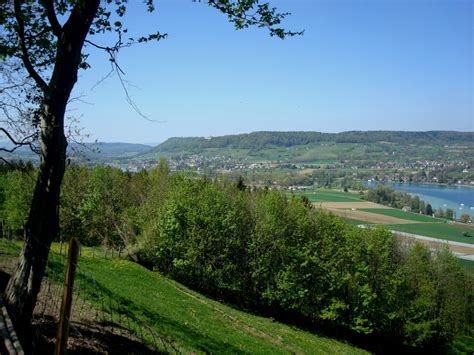 Thurgau , anglicized as thurgovia) is a northeast canton of switzerland. Blick von Klingenzell im Kanton Thurgau auf den Untersee ...