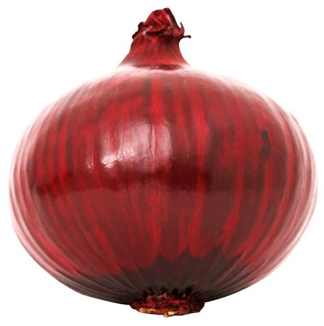 Red Onion PNG Image - PurePNG | Free transparent CC0 PNG Image Library