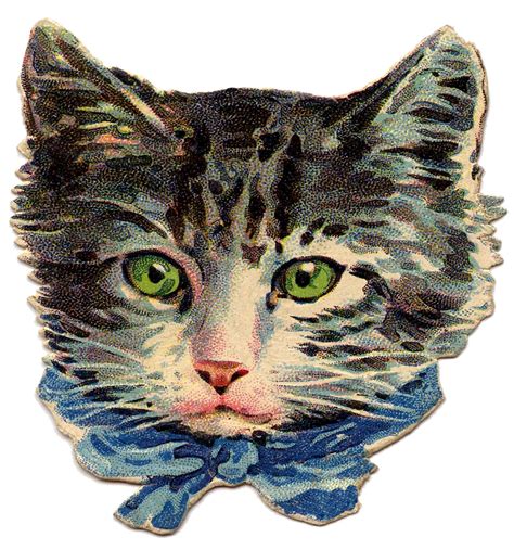 Vintage Image Kitty Cat With Green Eyes The Graphics Fairy