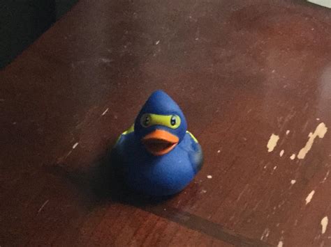Anime And Rubber Ducky Combined Rubberducks