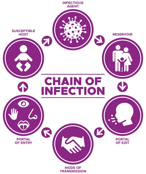 Understanding The Chain Of Infection