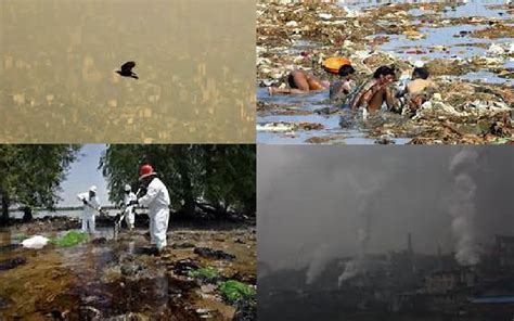 Ecology The Economy And Global Pollution Beyond The Cusp