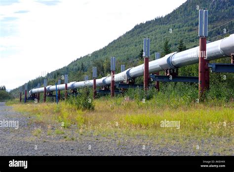 Trans Alaska Pipeline Along Richardson Highway Near Copper Center