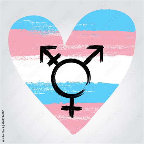 Vector Country Flag Of Transgender Pride Heart Vector World Flags My