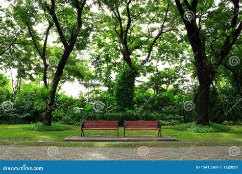 Benches In The Green Park Stock Image Image Of Natural 15415069