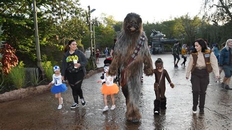 Meeting Chewbacca At Star Wars Galaxys Edge Hollywood Studios Walt
