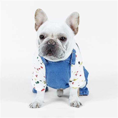 Frenchie World Denim Overall Frenchie World Shop French Bulldog