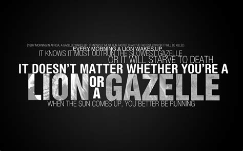 Lion Or A Gazelle Quote Sign Quote Inspirational Typography Hd