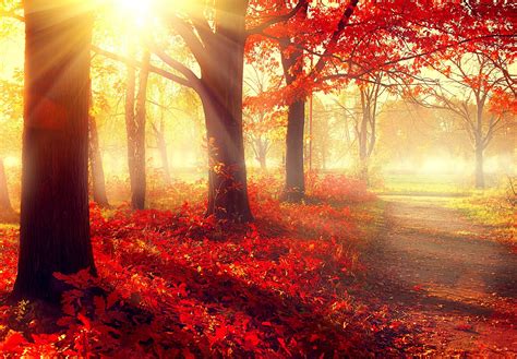 Windows 10 Wallpaper Autumn Mywallpapers Site