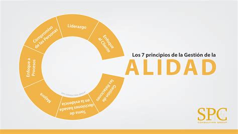 Los 7 Principios De La Gestión De La Calidad Spc Consulting Group
