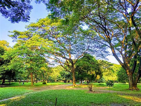 Image Ramna Park Dhaka Bangladesh