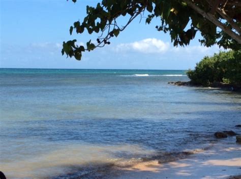 The black river is one of the longest rivers in jamaica.at a length of 53.4 km (33.2 mi), it was believed to be the longest until it was discovered that the rio minho was 92.8 km long. 「牙買加(Jamaica) 」見聞點滴 - 阿慶哥的時光足跡 - udn部落格