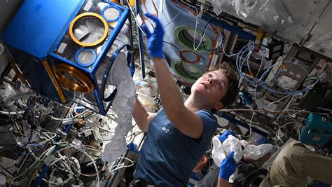 Rodent Research Mission Enables Investigators To Leverage Space Flown