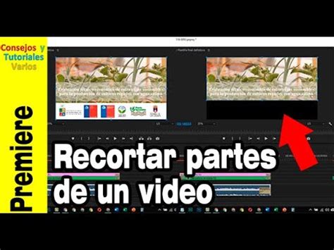 Recorta Tu Video Como Un Profesional En Premiere Paso A Paso Para