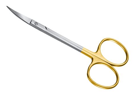 Scissors Surgical Tissue Dental Iris Gum Scissors With Tc Insert