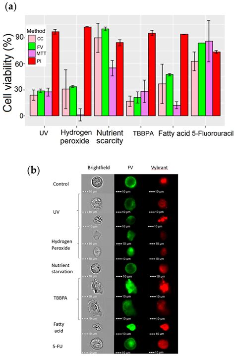 Cells Free Full Text A Promising Method For The Determination Of