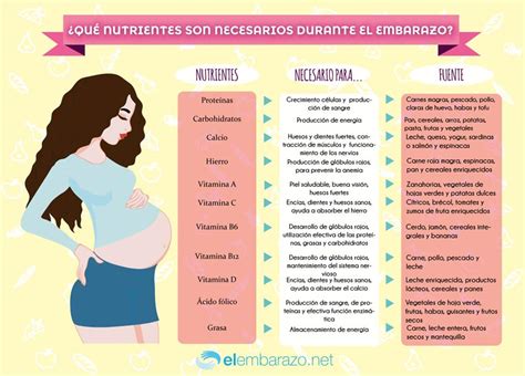Infografía Nutrientes Necesarios Durante El Embarazo