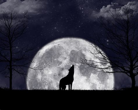 Wolf Howling At The Moon Wallpaper Wallpapersafari