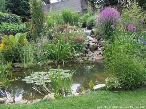 Les bassins extérieurs sont des espaces fermés non naturels. Créer un bassin champêtre | Bassin de jardin, Jardin d'eau ...
