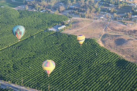 Temecula California Ballooning Above The Vineyards Temecula