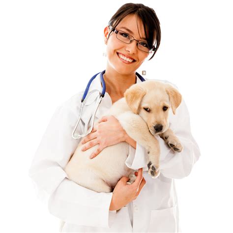 We dedicate ourselves to our clients and their companions by providing comprehensive. Download Physician Beauty Doctor Pet Holds Dog Cat Clipart ...