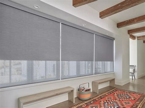 Roller Shades And Roller Window Treatments