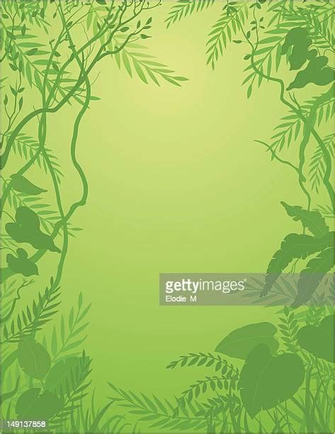 Amazon Rainforest High Res Vector Graphics Getty Images
